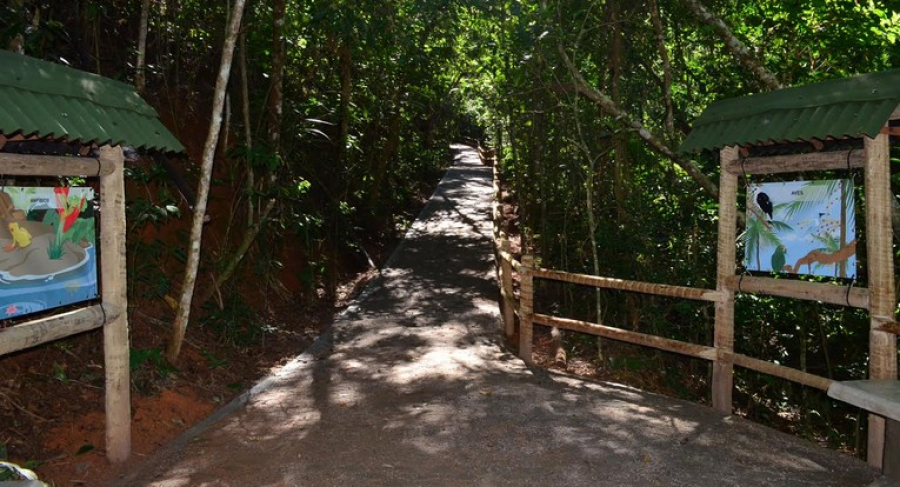 Conheça a Reserva Biológica União em Casimiro de Abreu